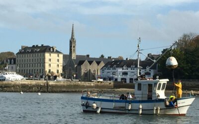 Port-nettoyage-bouées-novembre2025-SandrineGalipot (14)