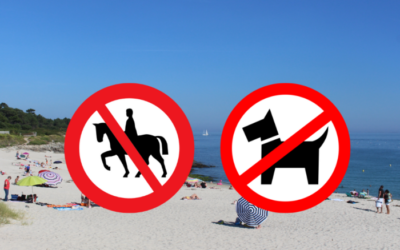 Interdition-chien-chevaux-plages-ete-700x587